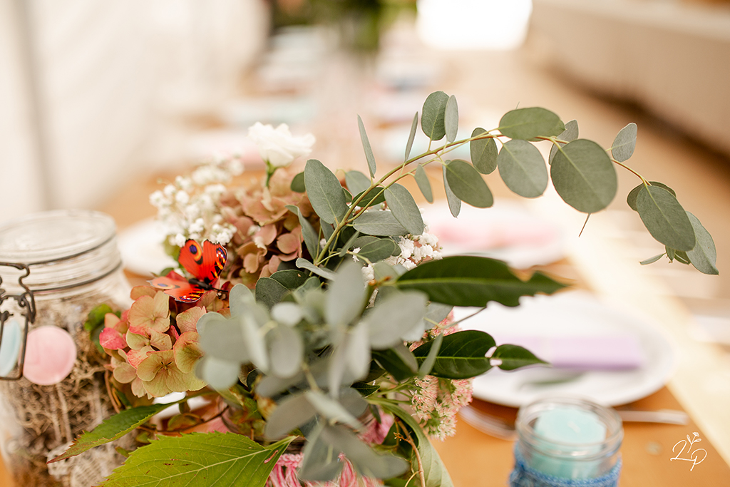 Prix des reportages d'événements familiaux chez Lauriane Pujo, photographe famille à Mulhouse