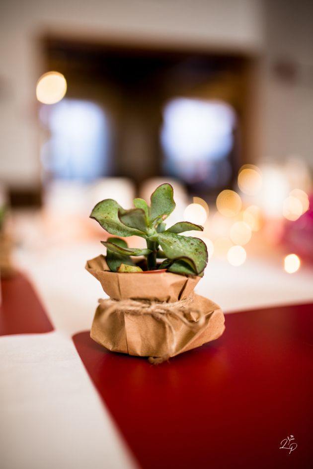 Reportage photo événement pro, Haut-Rhin, Alsace