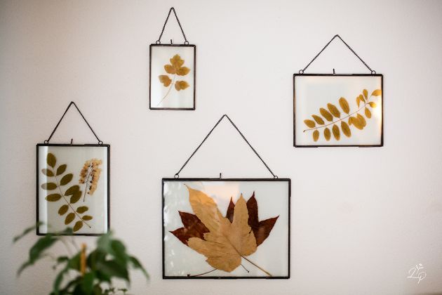 Reportage photo pro, Sierentz, Haut-Rhin, décoration d'intérieur