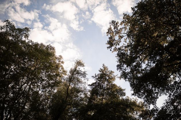 Rituel dans la nature, séance photo, sauvage
